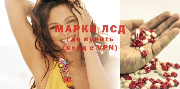 стаф Хадыженск