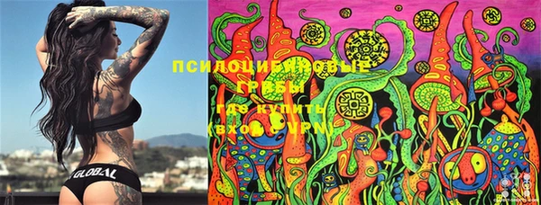 стаф Хадыженск