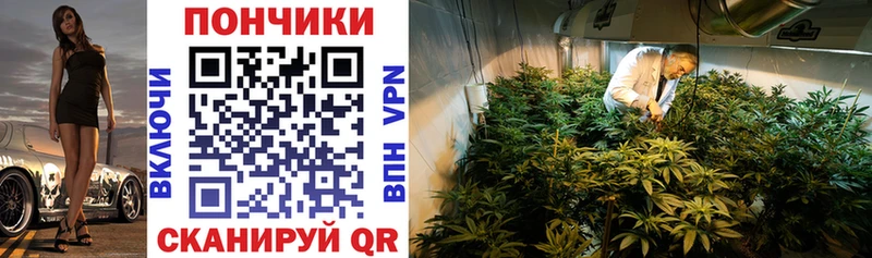 Конопля план Купить где Тында